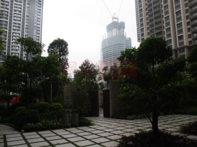 方圆月岛