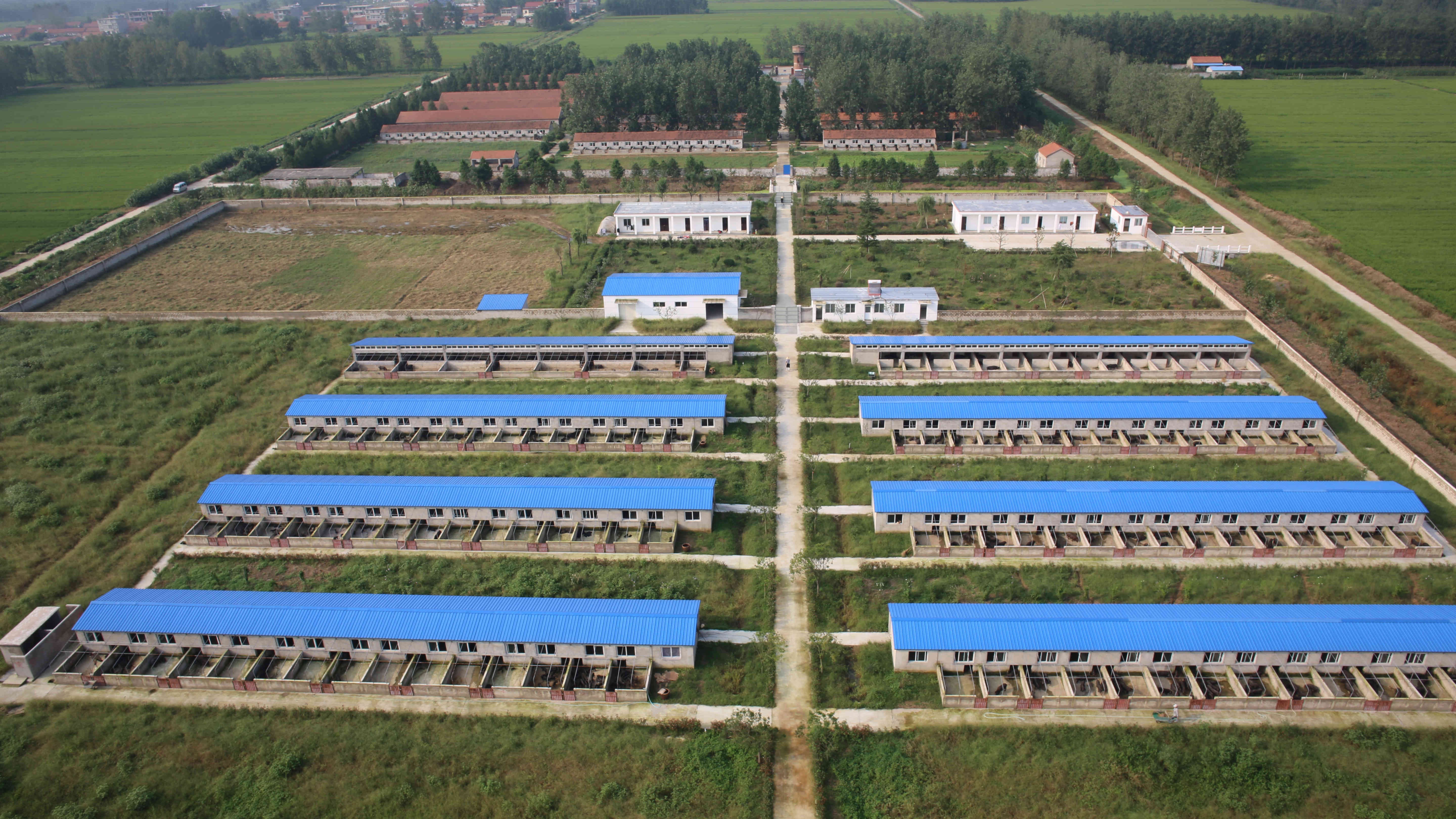 国营江苏东海种猪场